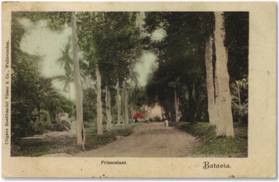 Source - Scott Merrillees Source - Scott Merrillees