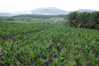 bakker-3.jpg bakker-3.jpg