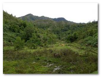 bakker2.jpg bakker2.jpg